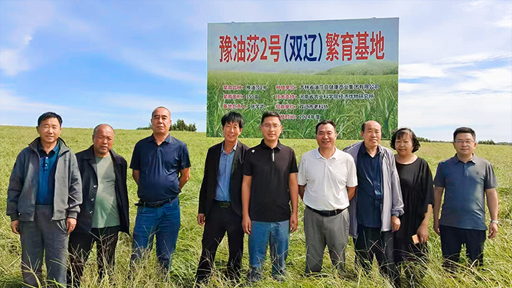 Shuangliao breeding and expansion + Xinjiang ten-thousand-mu planting, combining scale and stability