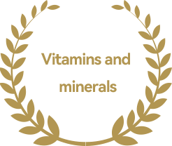It is rich in various vitamins and minerals, including vitamin E, vitamin C, B vitamins such as magnesium, calcium, iron, zinc, and selenium